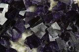 Pristine Purple Fluorite Crystals on Druzy Quartz - China #322833-1